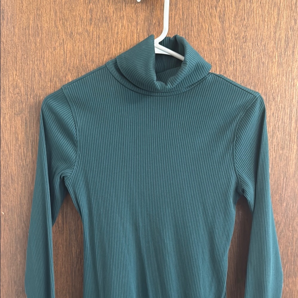 Green Ribbed Turtleneck Sweater Dress